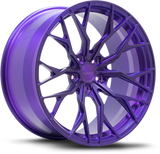 NES MS-5 official wheel reference with center cap
