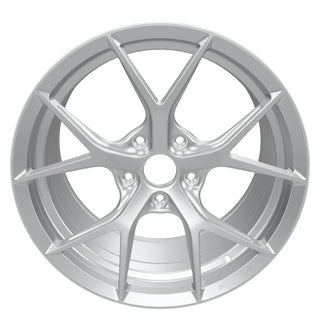 FS06